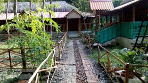 bamboo-resort-sundarban