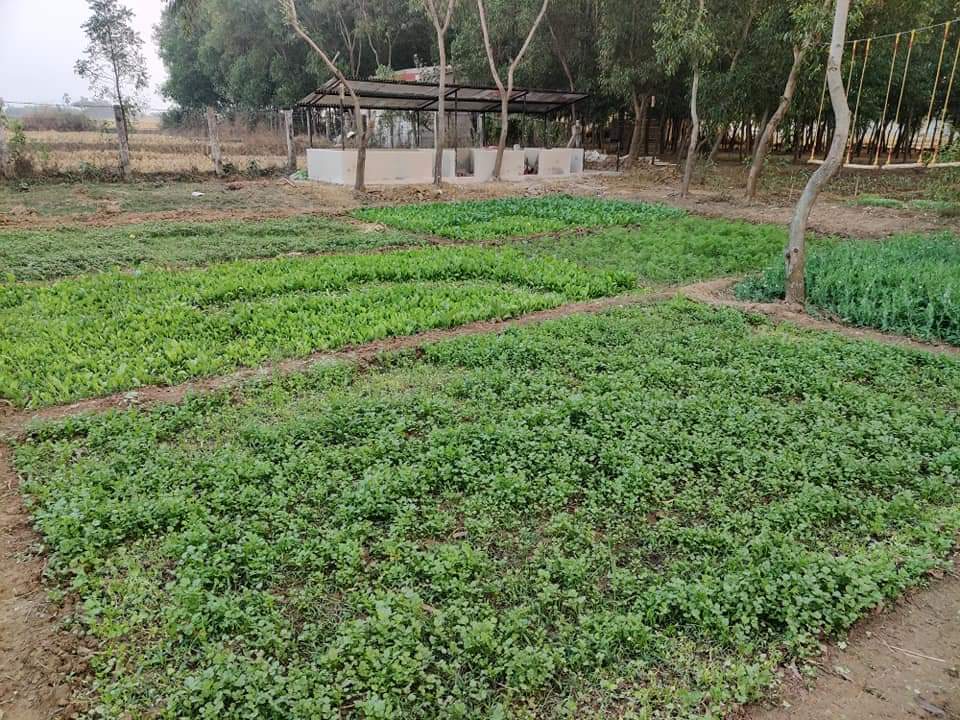 bolpur-agro-farmpsite