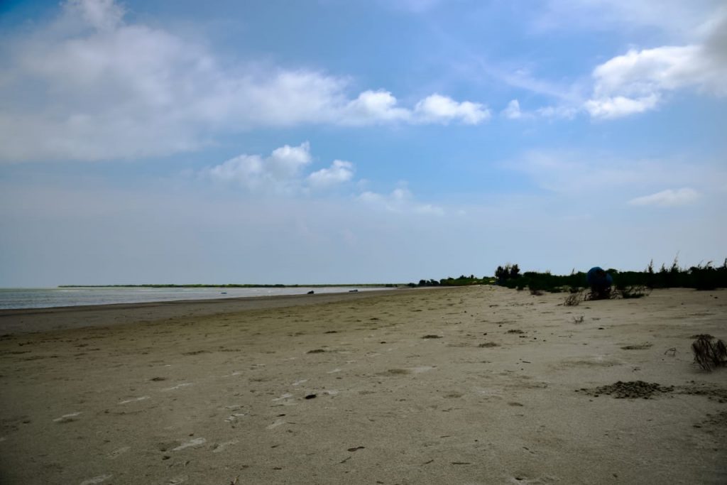 c3684144-5696-43b3-986a-fd2127205b74