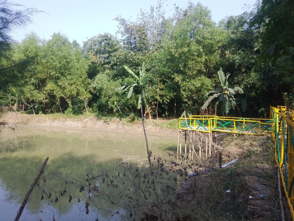 WhatsApp Image 2026-01-13 at 08.50.15