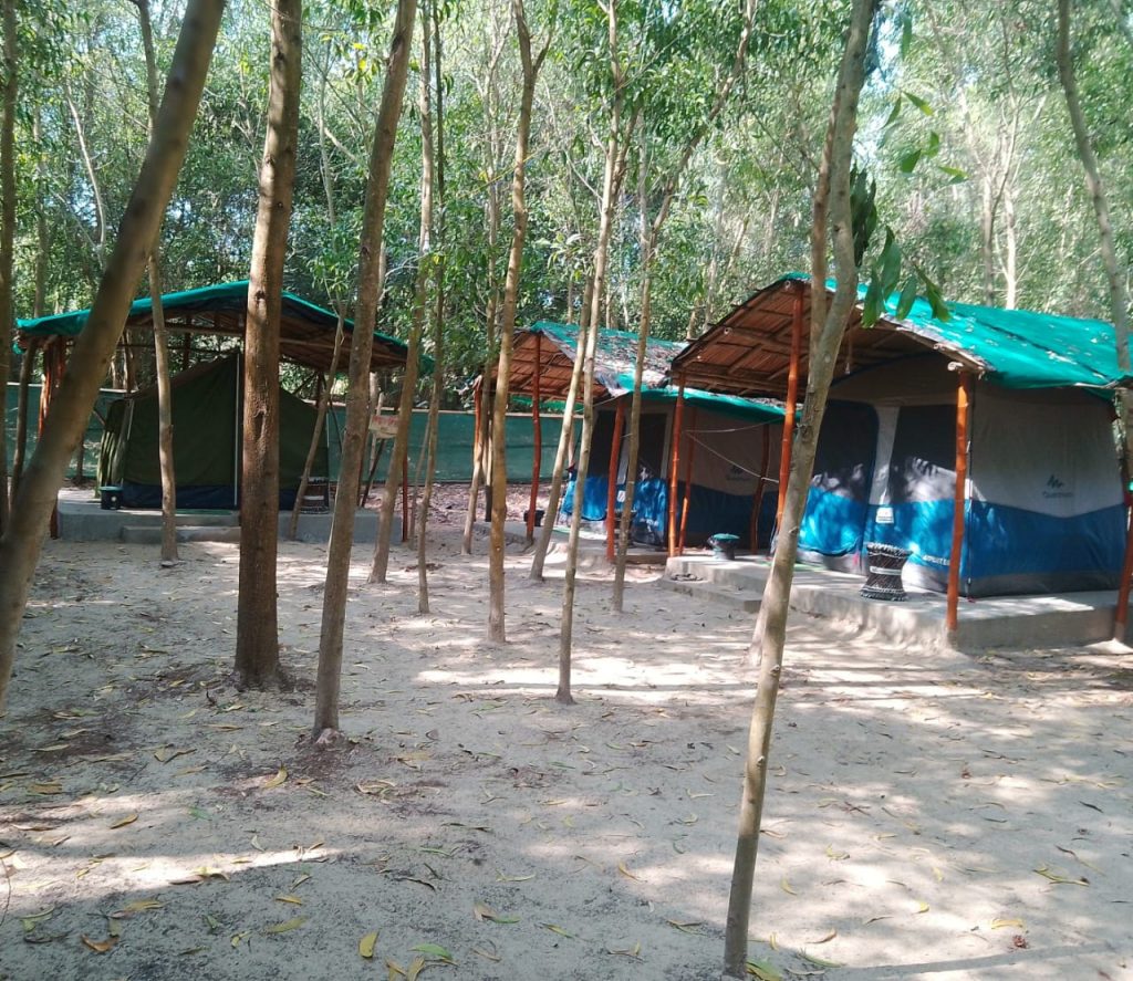 WhatsApp Image 2026-01-13 at 08.50.18