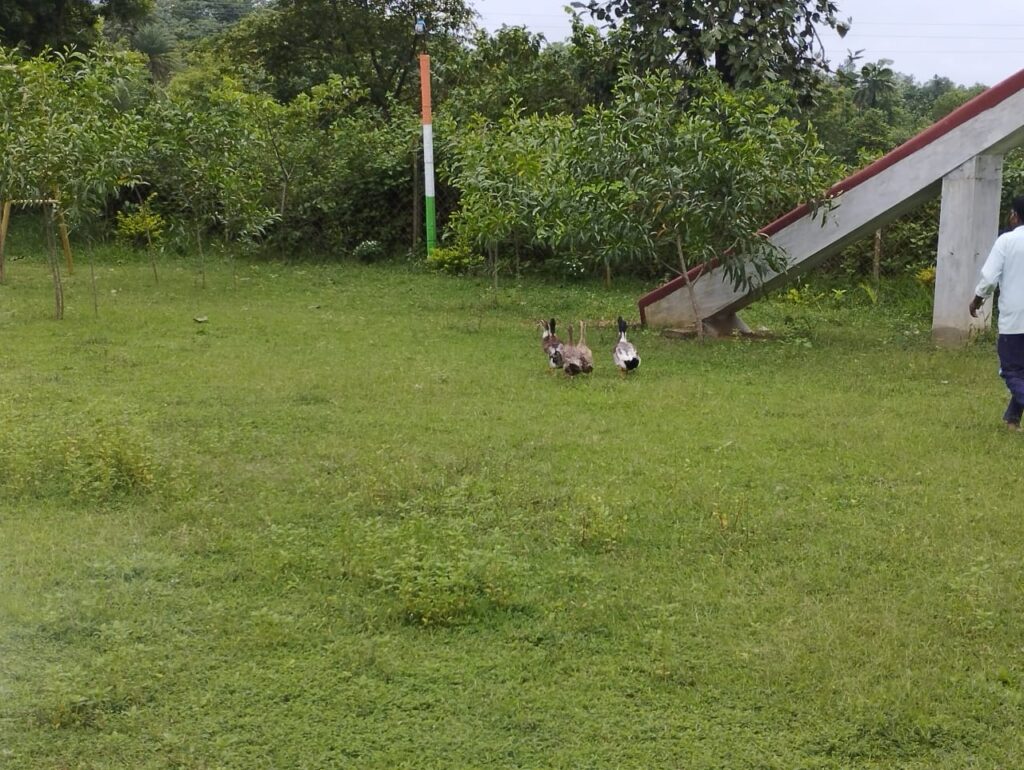 IMG-20250801-WA0102