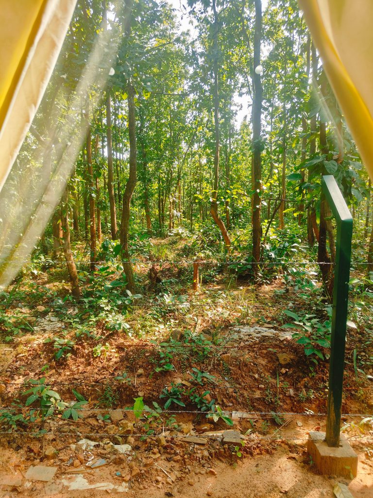 royal-villa-jungle-view