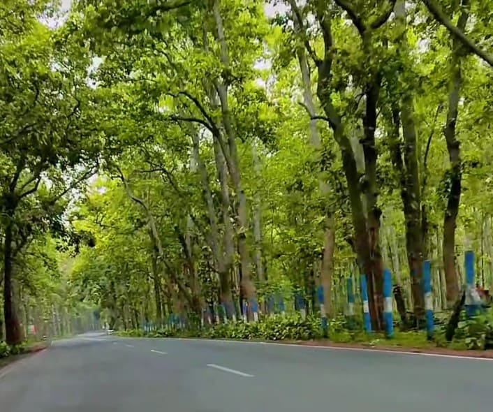 road to banaphul